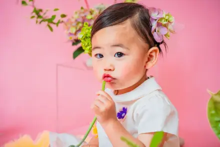 アジサイの髪飾りをつけた白い服の幼い子どもが、花の茎をくわえてピンクの背景の前に座る