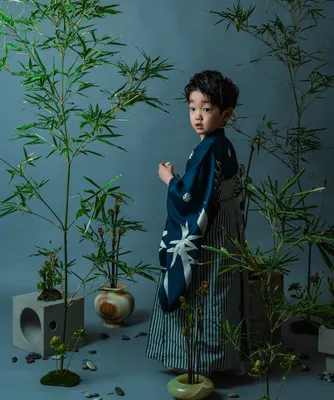 竹に囲まれて佇む紺の着物姿の七五三の男の子（Chikurin シーン）