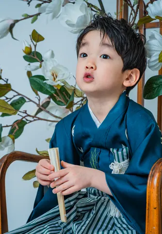 木蓮の花を背景に椅子に座る紺の着物姿の七五三の男の子（Mokuren シーン）
